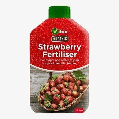 Strawberry Fertiliser سماد الفراولة العضوي