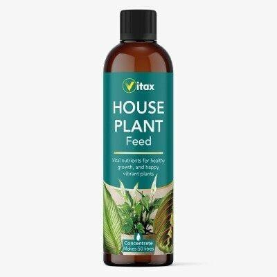 House Plant Feed سماد للنباتات المنزلية الداخلية