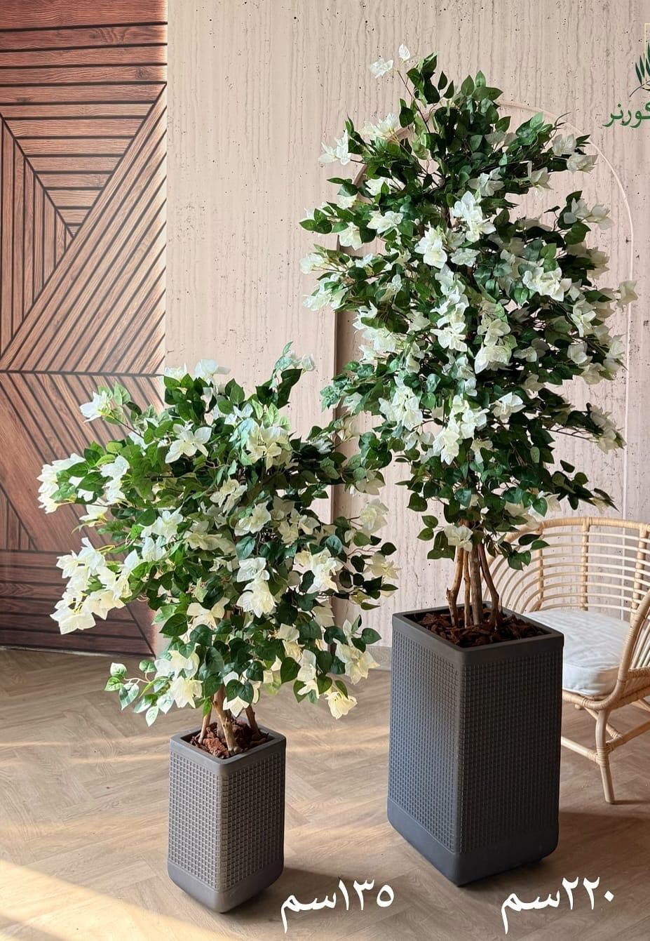 Artificia BOUGAINVILLEA white   مجنونه بيضه صناعيه
