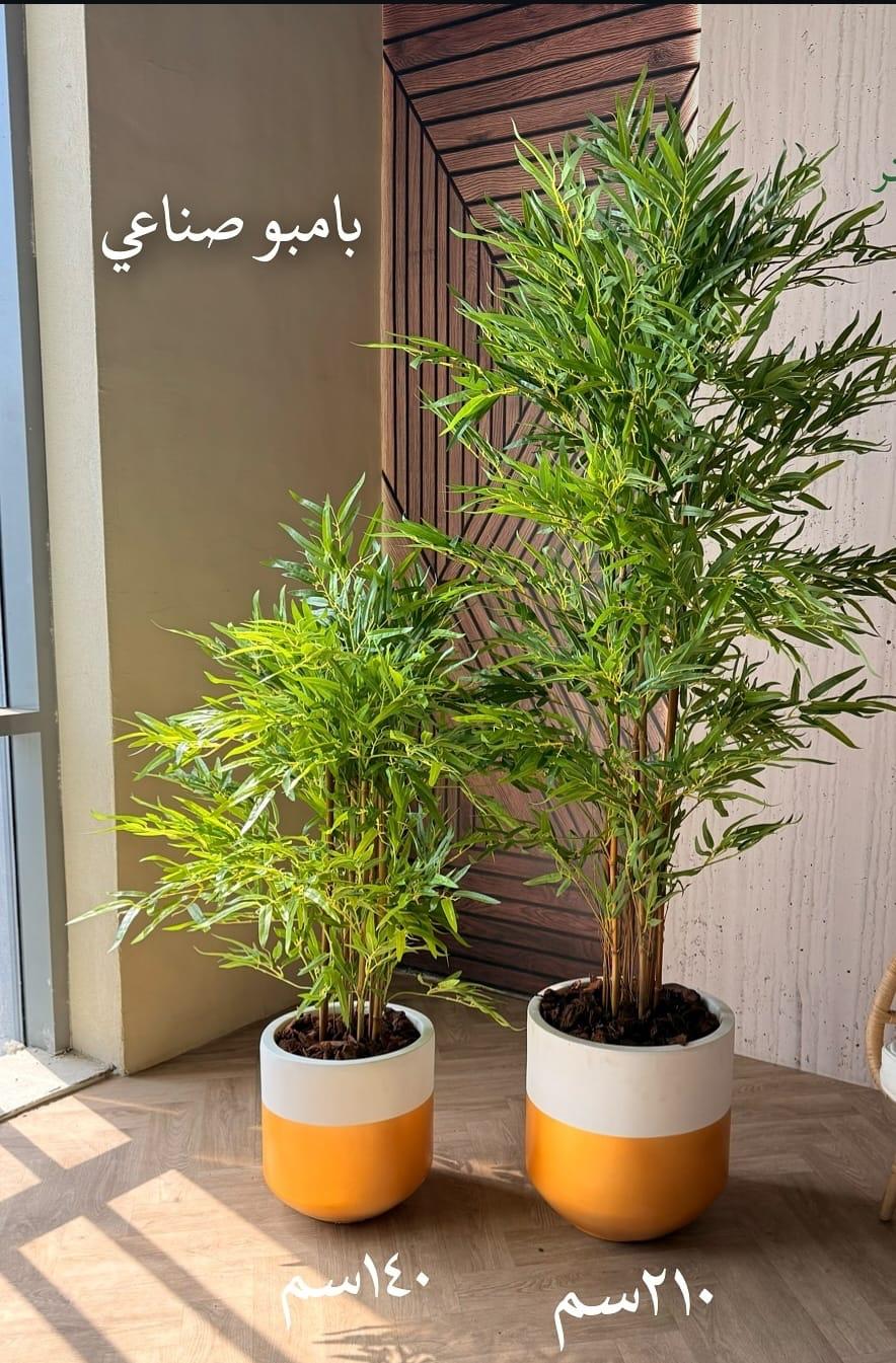 Artificia Bamboo بامبو صناعي