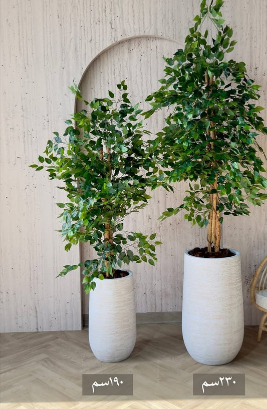 artifical ficus tree